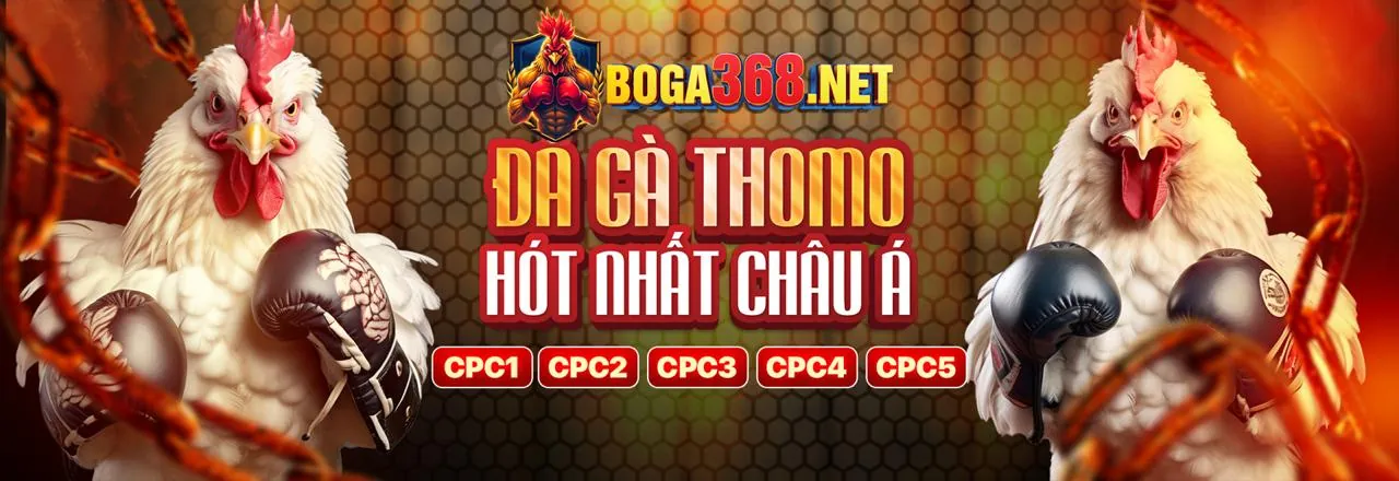 Cá cược có trách nhiệm tại soso66 trang chủ chính thức